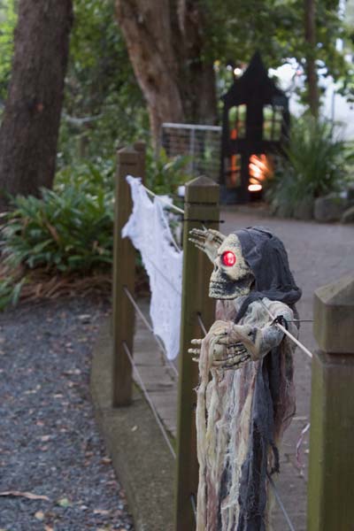 Currumbin Wildlife Sanctuary's, ' FestEvil at the Fangtuary' was a real scream, with a night time ghost train and spooktacular fun in the park.