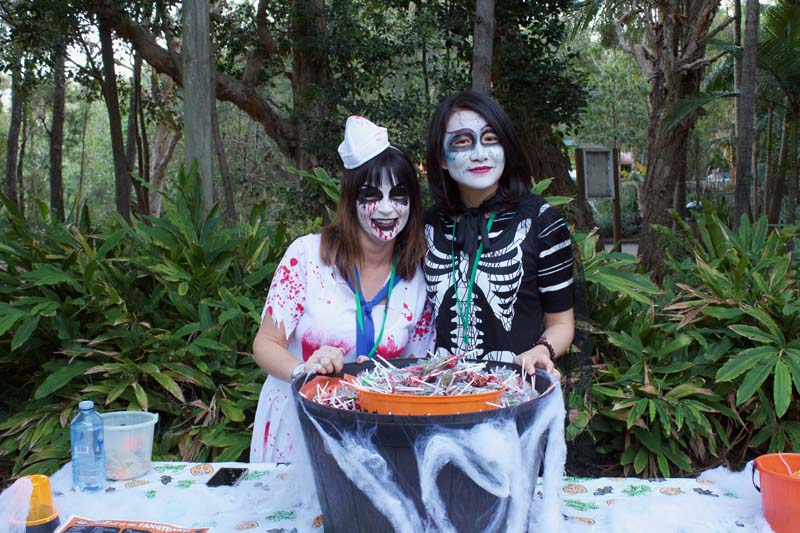 Currumbin Wildlife Sanctuary's, ' FestEvil at the Fangtuary' was a real scream, with a night time ghost train and spooktacular fun in the park.