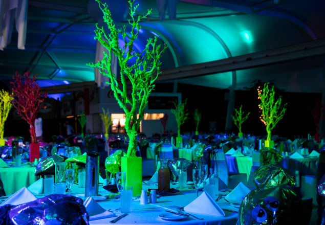 SeaWorld Underwater Theme - W Events Group