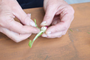 To get you feeling divinely exquisite at this year's Melbourne Cup, the floristry team at W Events are helping you create the perfect DIY flower crown!